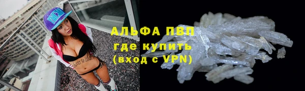 мет Бородино